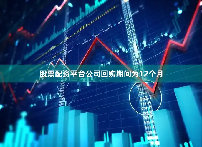 股票配资平台公司回购期间为12个月