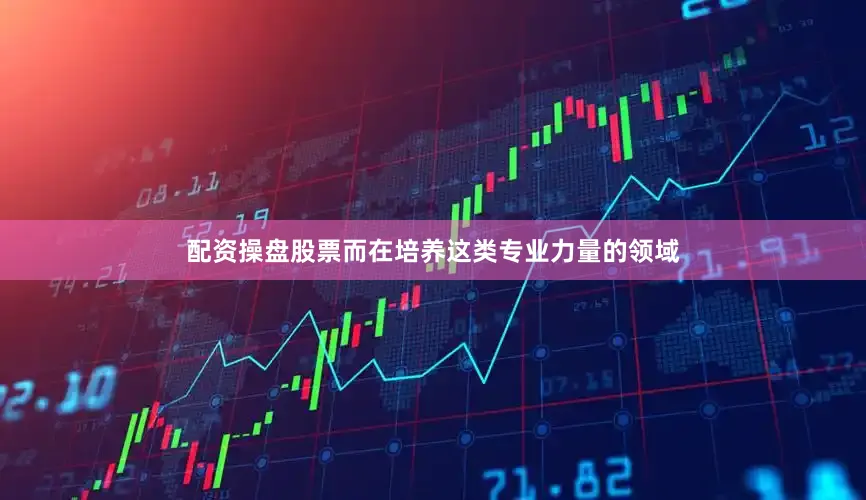 配资操盘股票而在培养这类专业力量的领域