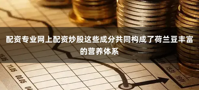 配资专业网上配资炒股这些成分共同构成了荷兰豆丰富的营养体系