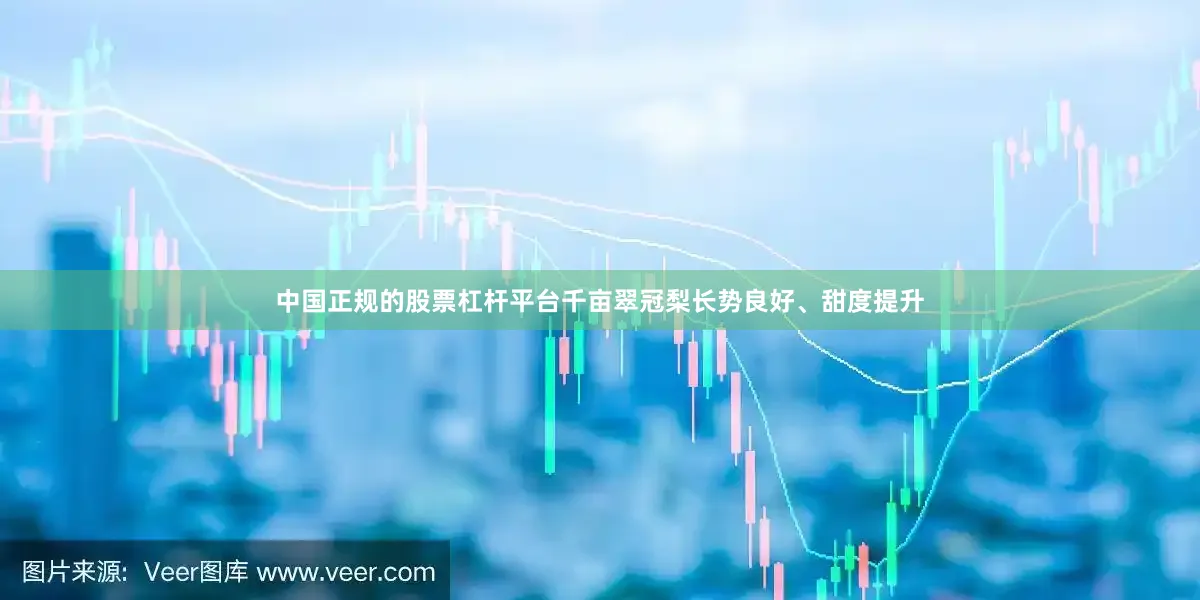 中国正规的股票杠杆平台千亩翠冠梨长势良好、甜度提升